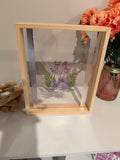 Silver Lavender
