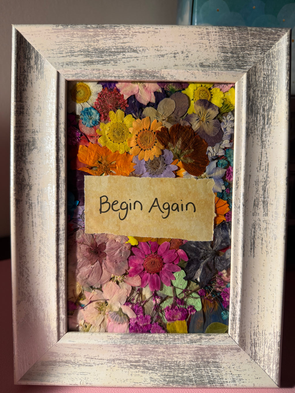 Petals of Hope